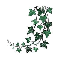 Elegant Trailing Jade in Bright Space vector