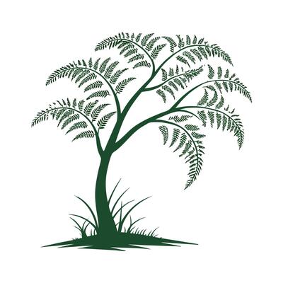 Stylish Tree Fern Display on Bright