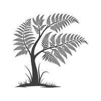 Charming Tree Fern on Clean White vector