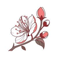 Elegant Tree Peony in Bright Space vector