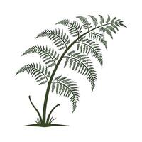 Elegant Tree Fern in Bright Space vector