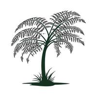 Beautiful Tree Fern on Clean White vector