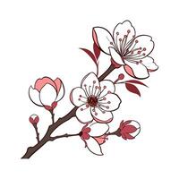Stylish Tree Peony Display on Bright vector