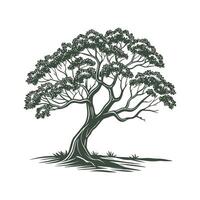 Elegant Umbrella Tree Note Display vector