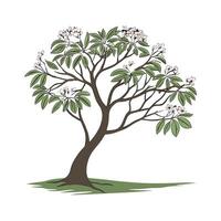 Charming Umbrella Tree on Clean White vector