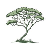 Stylish Umbrella Tree Display on Bright vector