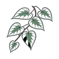 Stylish Variegated String of Hearts Display vector
