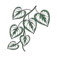 Charming Variegated String of Hearts on Clean White vector