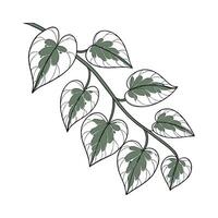 Elegant Variegated String of Hearts Design vector