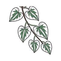 Charming Variegated String of Hearts Display vector