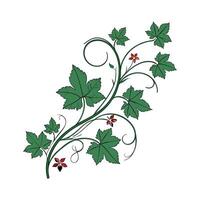 Stylish Vine Plant Display on Bright vector