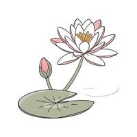 Stylish Water Lily Display on Bright vector