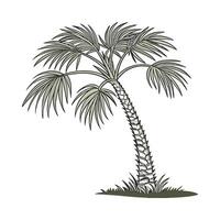 Palm Tree Windmill on White Background vector