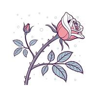 Rose on White Background vector