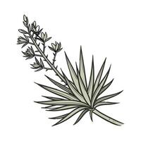 Stylish Yucca Plant Design on White Surface vector