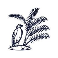 Zamia Plant on White Background vector