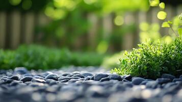 A rock garden with a fence in the background photo