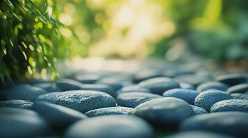 A close up of a rock path with a green bush in the background photo