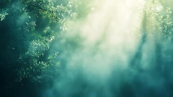 Misty Forest with Soft Light Filtering Through Trees photo