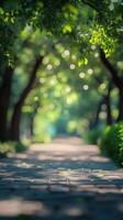 Serene pathway through a lush green park with shimmering sunlight and bokeh effects in the background photo
