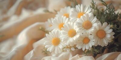 Fresh daisies arranged on soft fabric create a serene and elegant atmosphere for any occasion photo