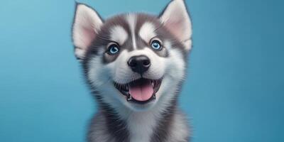 Happy husky puppy with striking blue eyes and playful expression against a vibrant blue background photo