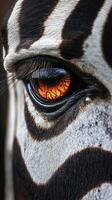 Close-up of a zebra's eye revealing intricate details and vibrant colors in a natural habitat setting photo