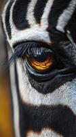 Close-up view of a zebra's eye showcasing intricate patterns and striking colors in natural light setting photo