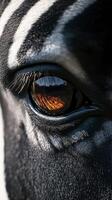 Close-up of a zebra's eye reflecting vivid detail with striking colors and textures in natural light during a sunny day photo