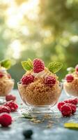 Delicious raspberry dessert served in a clear bowl with fresh mint and toasted quinoa in a sunny outdoor setting photo
