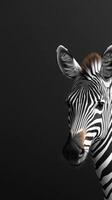 Striking close-up of a zebra's face showcasing distinctive black and white stripes against a dark background photo