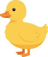 A cheerful yellow duckling standing on its feet with a round body and cute features in a minimal flat design illustration vector