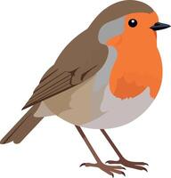 A charming European robin bird with a bright orange chest, minimalistic flat design, standing confidently against a white background in art vector