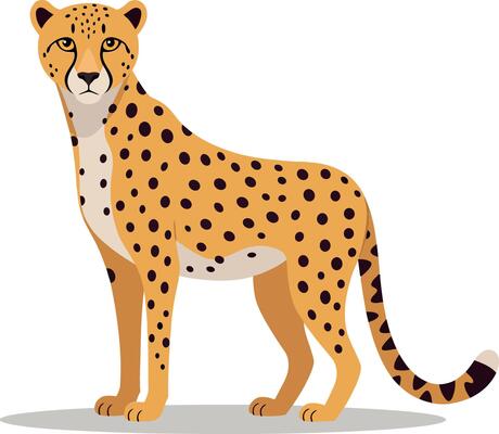 A detailed illustration of a standing cheetah showcasing its vibrant fur patterns in a flat design style featuring art