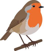 A colorful robin perched on a branch in a minimal flat design style, showcasing its vibrant orange chest and sleek feathers in art vector