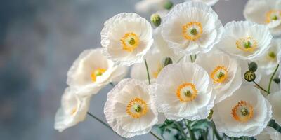 White poppy flowers in a simple vase against a muted background showcasing delicate petals and vibrant stamens photo