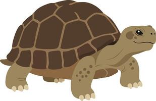 A detailed illustration of a tortoise slowly moving across a sandy surface in a flat art style, showcasing its textured shell and natural colors in a serene atmosphere vector