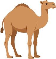 A friendly brown camel standing proudly in a flat design style, showcasing its distinctive humps and gentle expression in this vibrant art vector