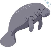 Manatee gracefully swimming underwater in a playful manner featuring a minimalistic design style in art vector