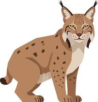 Detailed illustration of a lynx sitting gracefully, showcasing its distinctive spotted fur in a flat art style, evoking a sense of calm and majesty vector