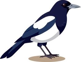 A striking black and white magpie perched gracefully on a simple ground in flat art style showcasing its distinctive features and elegant posture in a serene setting vector