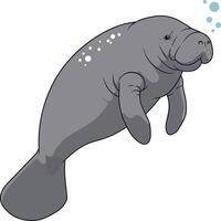 A playful manatee swimming gracefully in clear blue water, showcasing a minimal design style in vibrant colors, illustration vector