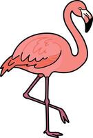 Pink flamingo standing gracefully on one leg in a minimal flat design style art vector