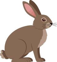 Brown rabbit sitting gracefully with upright ears in a flat, minimal style art vector