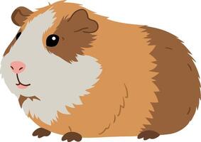 Cute and fluffy guinea pig with brown and white fur in a playful pose, minimal illustration vector
