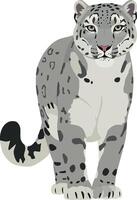 Snow leopard standing proudly in a natural pose showcasing detailed flat design style art vector