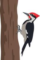 Pileated woodpecker clinging to a tall tree trunk in flat art style showcasing its vibrant colors and detailed features in a natural setting vector