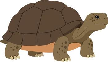 A cheerful tortoise with a detailed shell and gentle expression, walking slowly on a sunny day in a flat illustration vector