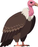 A detailed illustration of a majestic vulture with striking features, showcasing its wings and vibrant colors in a flat design style art vector