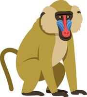 A colorful baboon sitting calmly with vibrant facial features in a flat, minimal design style showcasing art vector